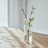 Clear glass vase with blossom branches on a wooden surface