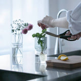 Person trimming a plant with scissors on a kitchen counter.