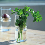 Clear glass with green leaves on a wooden surface