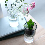 Small potted plant in a clear glass container on a wooden surface with a laptop in the background.