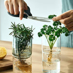 Person trimming plants in glass jars with water on a wooden surface.