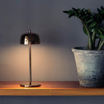 Table lamp on a wooden surface with a potted plant against a dark background