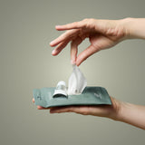 Eucalyptus Nourishing Hand Sanitizing Travel Wipes