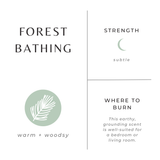 Slow North Forest Bathing Scented Candle