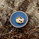 A tiny rounded ceramic bowl in a cool medium blue color featuring iron speckles and an unglazed rim. The bowl is outside and has a small quail egg inside.
