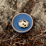 A tiny rounded ceramic bowl in a cool medium blue color featuring iron speckles and an unglazed rim. The bowl is outside and has a small quail egg inside.