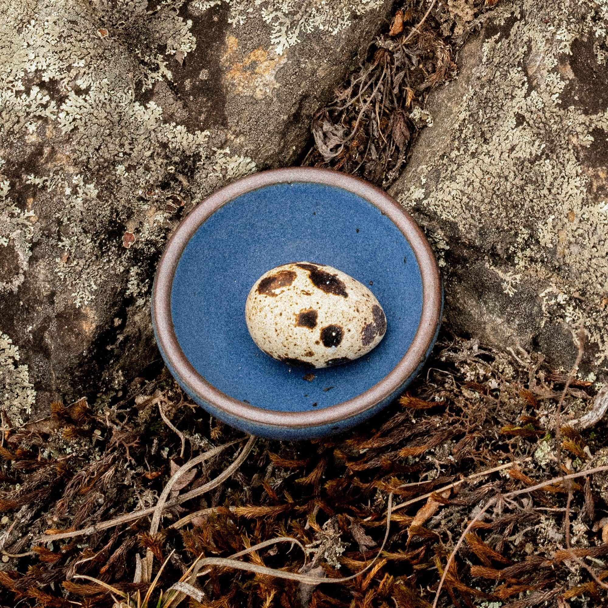 A tiny rounded ceramic bowl in a cool medium blue color featuring iron speckles and an unglazed rim. The bowl is outside and has a small quail egg inside.