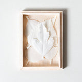 HA KO Paper Incense - Wooden Box Set of 5 With Felt Mat