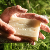 Juniper Ridge Bar Soap, Sierra Forest