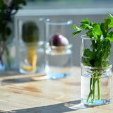 Hario Glass Flower Vase
