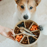 3-IN-1 BENTO Slow Feeder Bowl