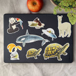 Laptop with animal stickers on a light surface with an apple and plant in the background