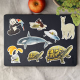 Laptop with animal stickers on a light surface with an apple and plant in the background