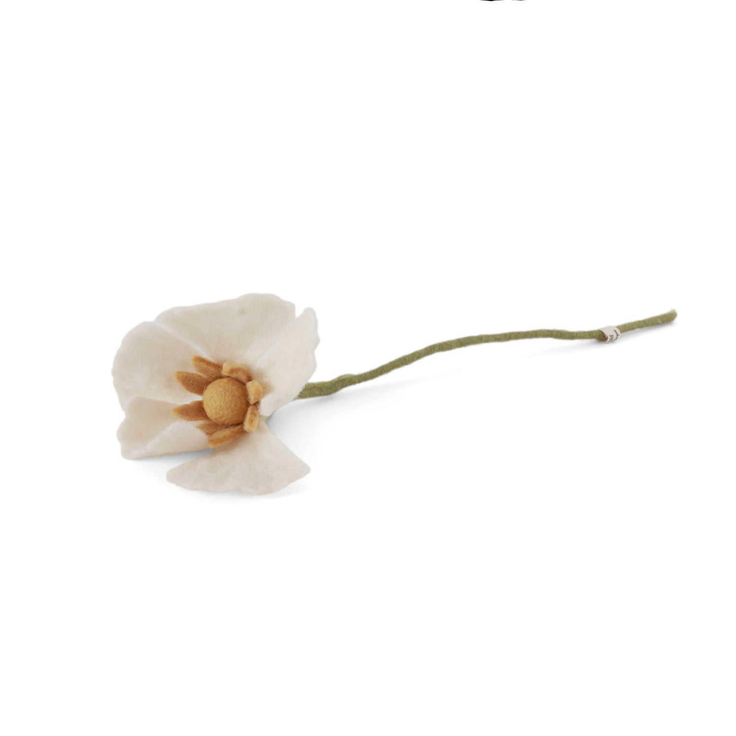 White flower with a green stem on a white background