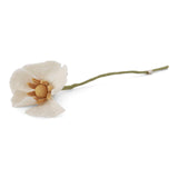 White flower with a green stem on a white background