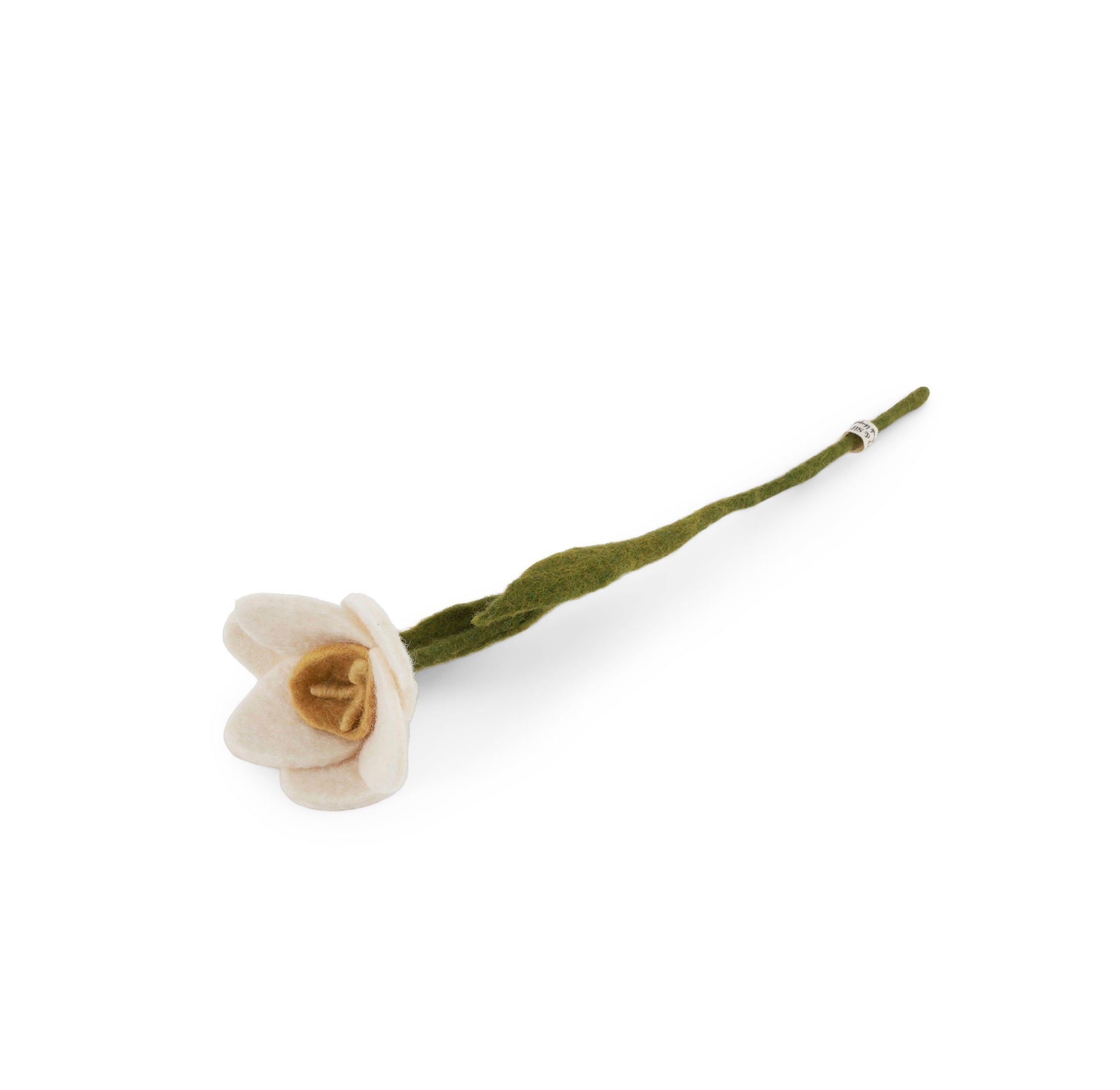 White flower with green stem on a white background