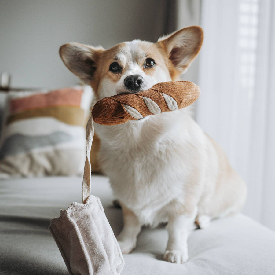 MINI-BAGUETTE Enrichment Dog Toy