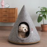 Dog inside a gray cone-shaped pet bed on a wooden floor with a plant and dresser in the background.