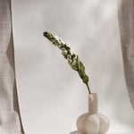 Small vase with a single flower stem against a neutral background