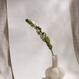 Small vase with a single flower stem against a neutral background