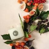 Candle with a fruit and leaf arrangement on a light background