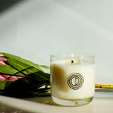 Candle with a logo on a surface next to green leaves