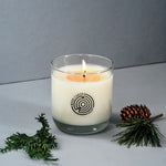Candle in a glass jar with a logo, surrounded by greenery on a gray background