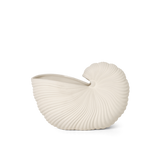 Shell Pot
