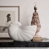 Shell Pot