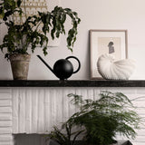 Shell Pot