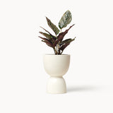 Stacked Planters, White