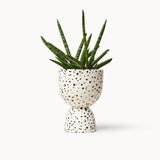 Stacked Planters, Speckled