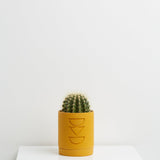 Capra Etch Planter, Golden - AS IS