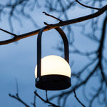 Carrie LED Lamp, Black - Acacia