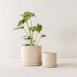Sand Stoneware Planter 6" - AS-IS