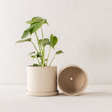 Sand Stoneware Planter 6" - AS-IS