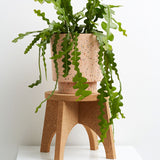 Cork Plant Stand