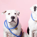 Adjustable Rope Leash, Solid - Acacia