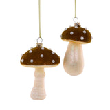 High Grove Mushroom Ornaments, Brown