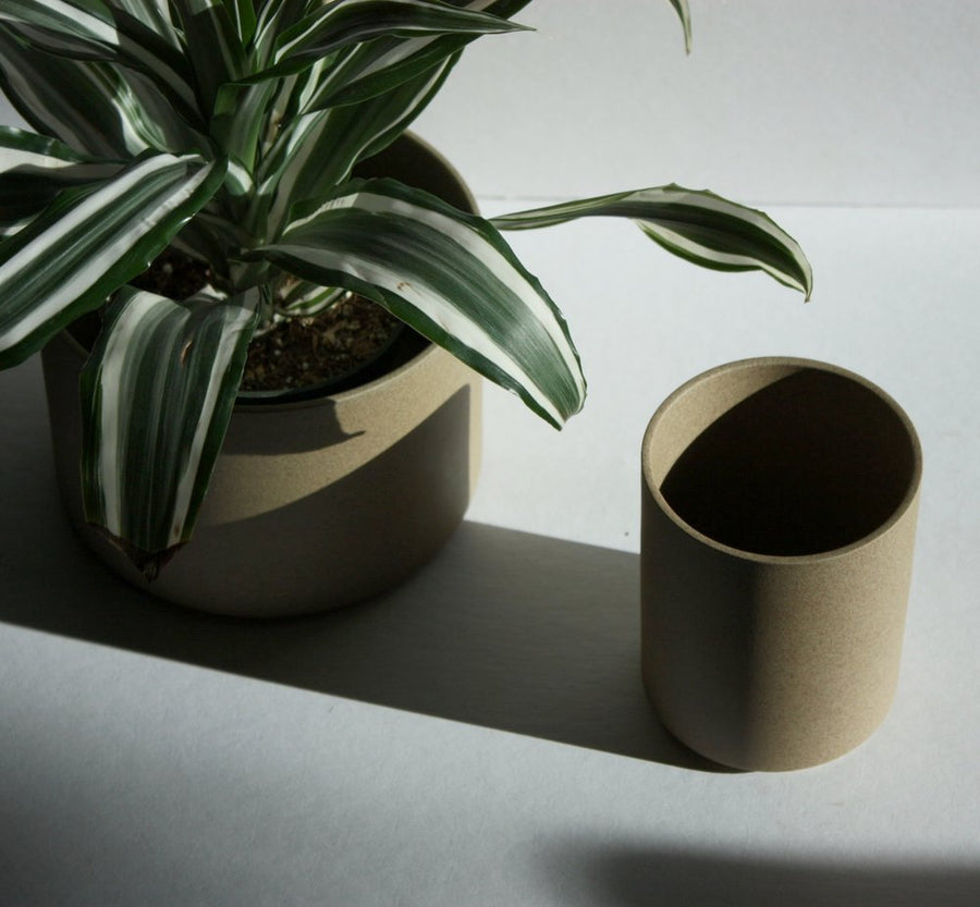 Hasami Porcelain Small Planter - Acacia