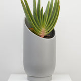 Capra Summit Planters