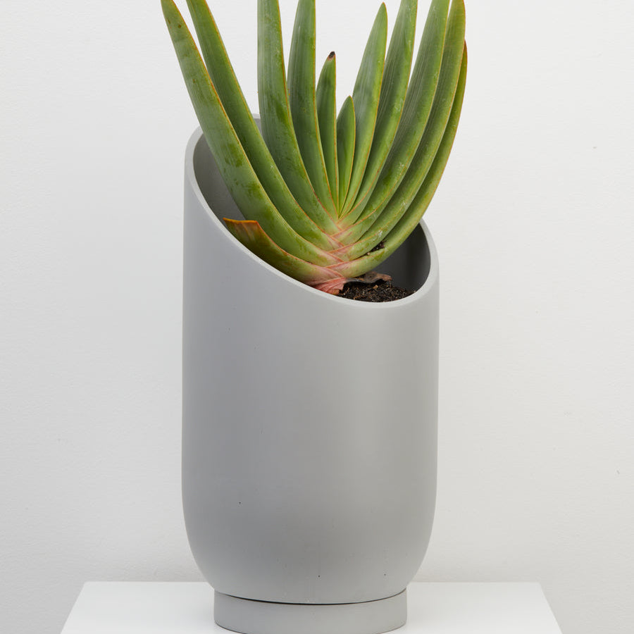 Capra Summit Planters