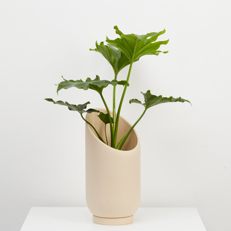 Capra Summit Planters