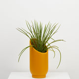Capra Summit Planters