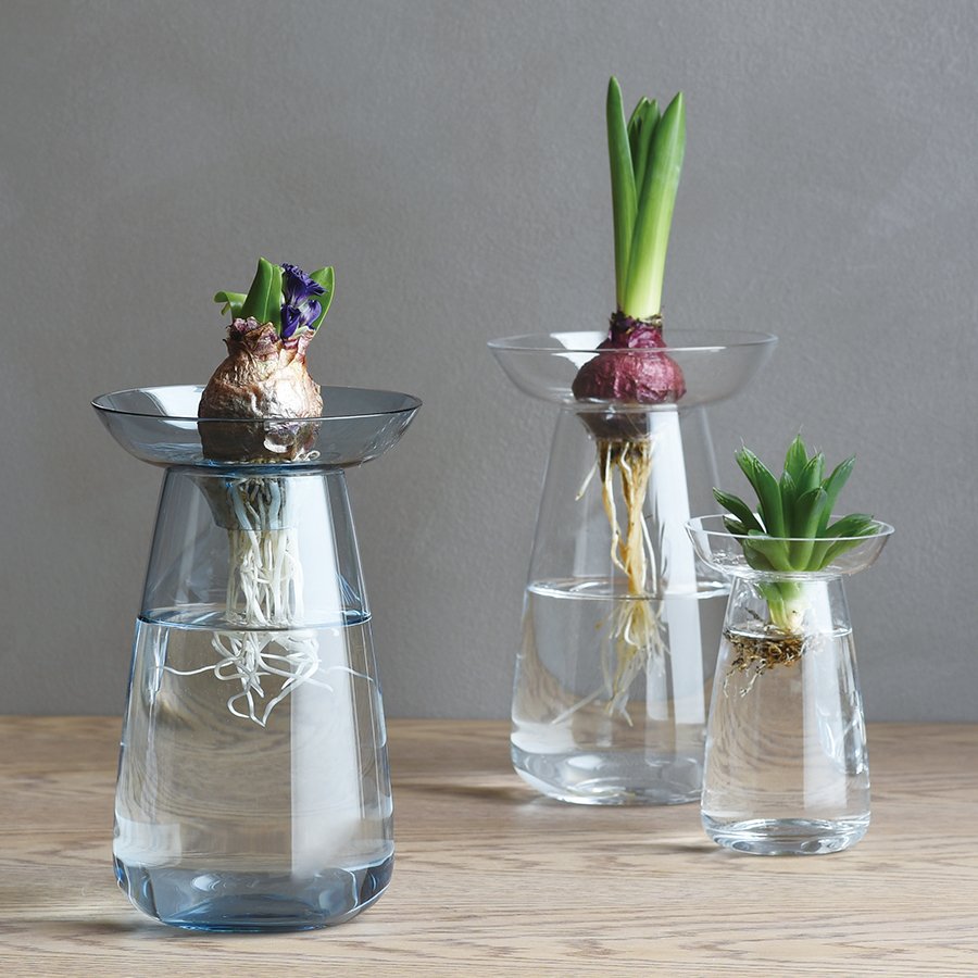 Kinto Clear Aqua Culture Vases, Two Sizes