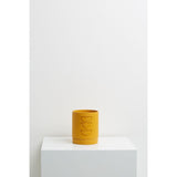 Capra Etch Planter, Golden - AS IS