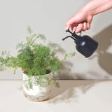 Matte Black Plant Mister