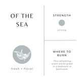 Slow North 'Of the Sea' Scented Candle, Three Sizes