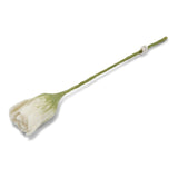 Felt Tulip, White