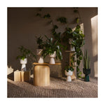 Nappula Plant Pots - Acacia